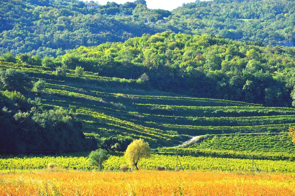 colli-berici-lago-fimon-atuttoxturismo3